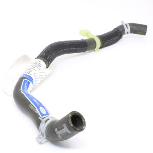 Mangueira Bomba D'água Ford Focus 2014 a 2019 - Original