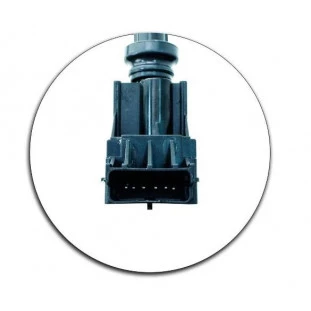 Bobina Ignição 6 pinos Citroen C4 2007 a 2010 - Euro Injecao E Ignicao