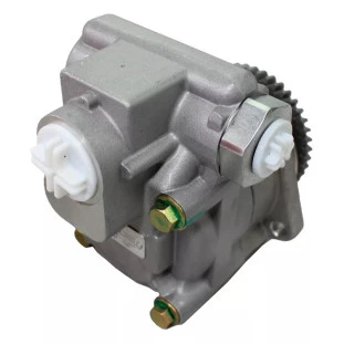Bomba Direção Hidráulica 4.2 MWM Ford F 250 1999 a 2006 - TRW