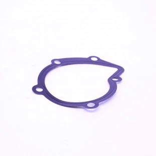 Junta Bomba de Água Peugeot 307 2007 a 2012 - Original