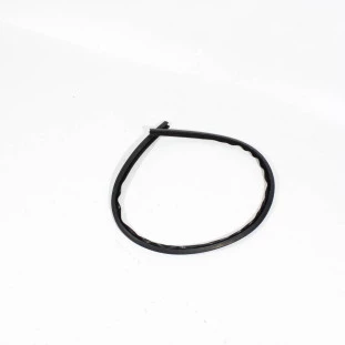 Moldura Para-Brisas Peugeot 206 1999 a 2010 - Dianteiro - Original