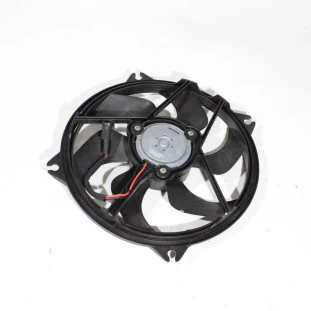 Motoventilador Peugeot 307 2007 a 2012 - Original