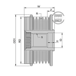 Polia do Alternador Citroen C4 2007 a 2014 - Zen