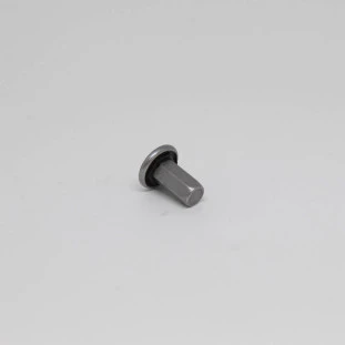 Rebite Montagem Batente Porta Elevador Volkswagen Polo 2003 a 2006 - Volkswagen