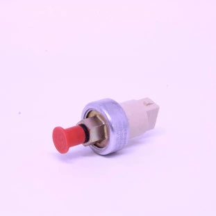 Sensor Pressão Direção Hidráulica Ford Focus 2001 a 2013 - Original