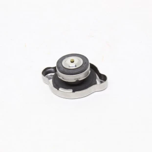 Tampa Radiador Nissan Frontier 1998 a 2021 - Original