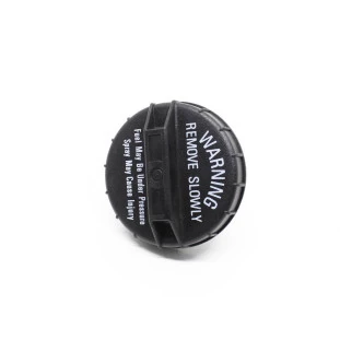 Tampa Tanque Combustivel Kia Carens 1999 a 2001 - Original
