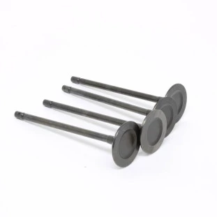 Válvula de Admissão Renault Sandero 2008 a 2014 - Original