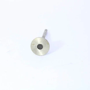 Válvula de Escape Peugeot 605 1994 a 1995 - Traseiro - Original