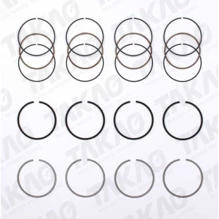Anel 0,50 Ford Focus 2001 a 2004 - Takao