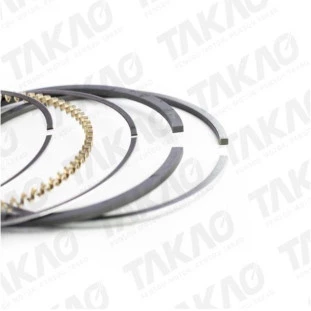Anel 1,00 Nissan Maxima 1993 a 1994 - Takao