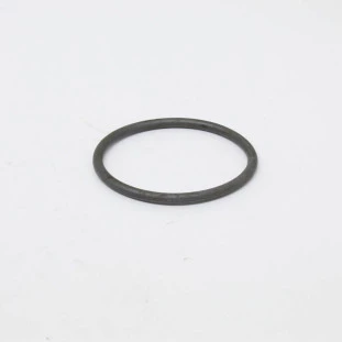 Anel Vedação Bomba de Água Volkswagen Fusca 2013 a 2016 - Original
