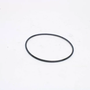 Anel Vedador Bomba de Água Chevrolet Blazer 2006 a 2008 - Original