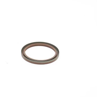 Anel de Vedação Bomba Combustível Nissan Frontier 2002 a 2008 - Interno - Original