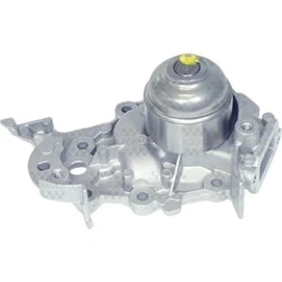 Bomba de Água Renault Clio 2003 a 2016 - Schadek