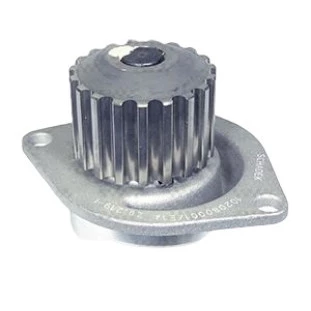 Bomba de Água Peugeot 307 2004 a 2012 - Schadek