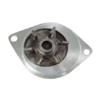 Bomba de Água Citroen Xsara 2001 a 2003 - Indisa