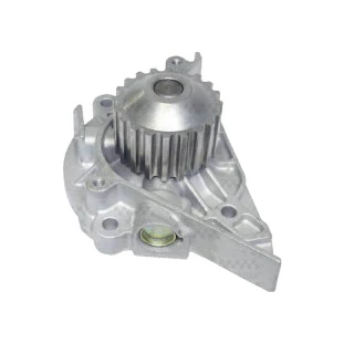 Bomba de Água Citroen C4 2009 a 2014 - Schadek