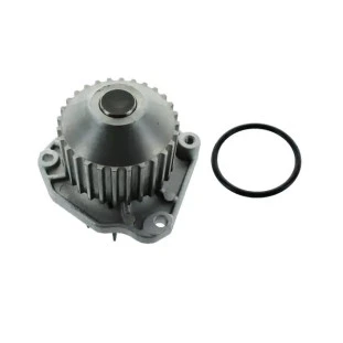 Bomba de Água Peugeot 407sw 2007 a 2009 - SKF