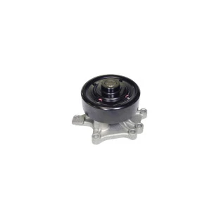 Bomba Água Nissan Grand 2010 a 2014 - Schadek