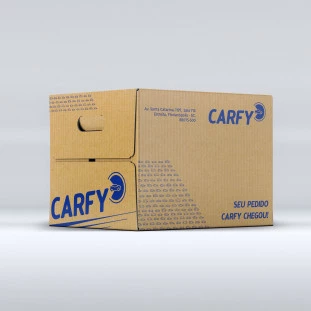 Capa Corrente do Motor Kia Carnival 1999 a 2015 - Traseiro - Original