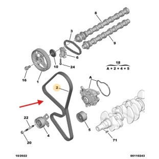 Correia Dentada Citroen Jumpy 2018 a 2021 - Original