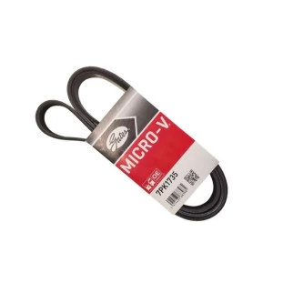 Correia Poly V Nissan Frontier 2006 a 2021 - Gates
