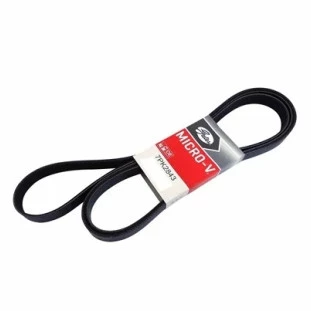 Correia do Alternador Ford Transit 2009 a 2011 - Gates