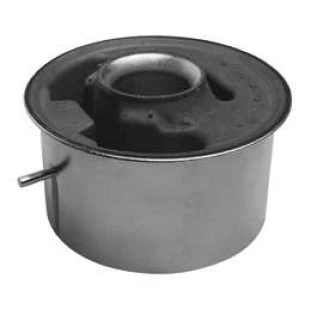 Coxim Motor Fiat Doblo 2002 a 2021 - Traseiro - Monroe Axios