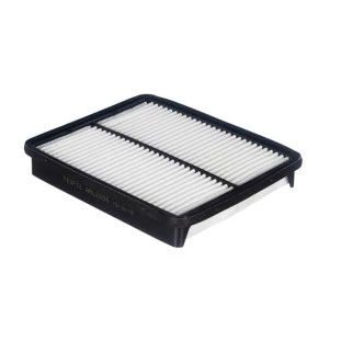 Filtro de Ar do Motor Hyundai Santafe 2010 a 2011 - Tecfil