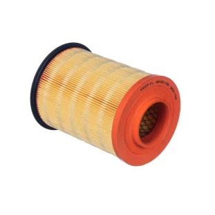 Filtro de Ar do Motor Ford Focus 2009 a 2013 - Tecfil