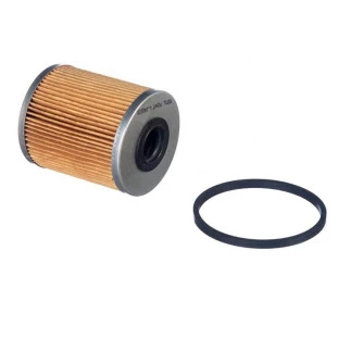 Filtro de Combustível Renault Master13m3 2005 a 2010 - Tecfil