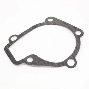 Junta Bomba de Água Hyundai Tucson 2005 a 2010 - Dianteiro / Externo - Original