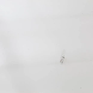 Lâmpada Painel Renault Kangooniks 2018 - Esquerdo ou Direito / Interno - Original