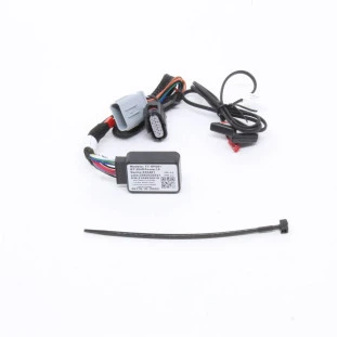 Módulo Potência Gás Pedal Toyota Rav4h 2019 a 2020 - Dianteiro / Interno - Original
