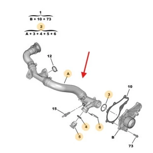 Mangueira Bomba Água Peugeot Expert 2018 a 2021 - Original