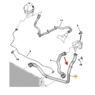 Mangueira Radiador Peugeot 3008 2017 a 2020 - Inferior - Original