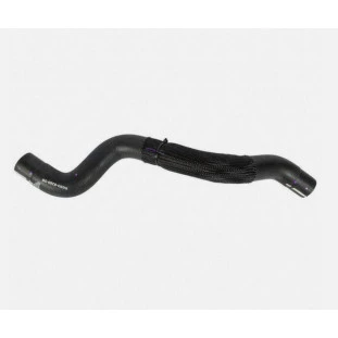 Mangueira Radiador Ford Fusion 2013 a 2014 - Superior - Original