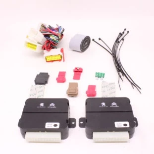 Modulo Automatico Vidros Elétricos Peugeot 2008 2019 a 2020 - Original