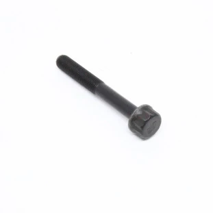 Parafuso do Cabeçote Hyundai Terracan 2005 a 2006 - Original