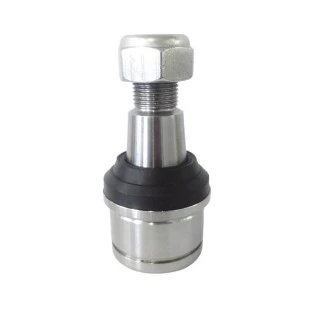 Pivô Suspensão Ford F 250 2006 - Esquerdo ou Direito / Inferior - Driveway