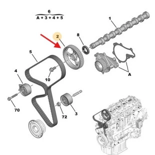 Polia Eixo Comando Peugeot Expert 2018 a 2021 - Original