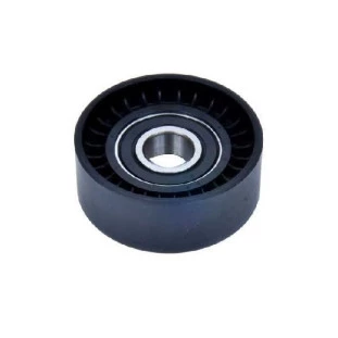 Polia Lisa Tensor Alternador Peugeot 307 2004 a 2012 - Nytron