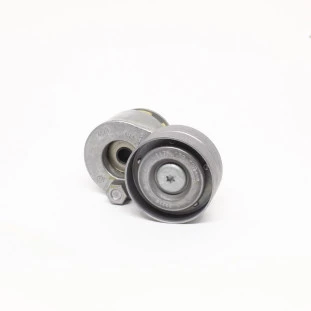 Polia Tensor da Correia Renault Sandero 2013 a 2022 - Original