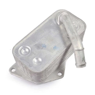 Radiador Oleo Motor Bmw X5 2011 a 2018 - Ymax