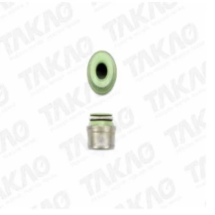 Retentor de Válvulas Audi S6 2001 - Takao