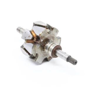 Rotor do Alternador Kia Sportage 1998 a 1999 - Externo - Original