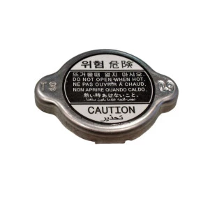 Tampa Radiador Kia Besta 1995 a 2005 - Original