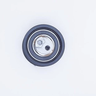 Tensor da Correia do Comando de Válvulas Audi A3 2006 a 2010 - Takao