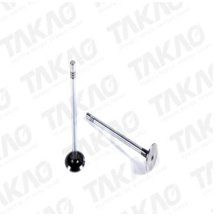 Válvula de Admissão Ford Transit 2009 a 2014 - Takao